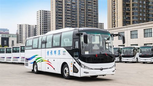 新疆旅游汽车多少辆